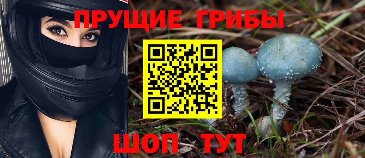 Псилоцибиновые грибы прущие грибы Тулун