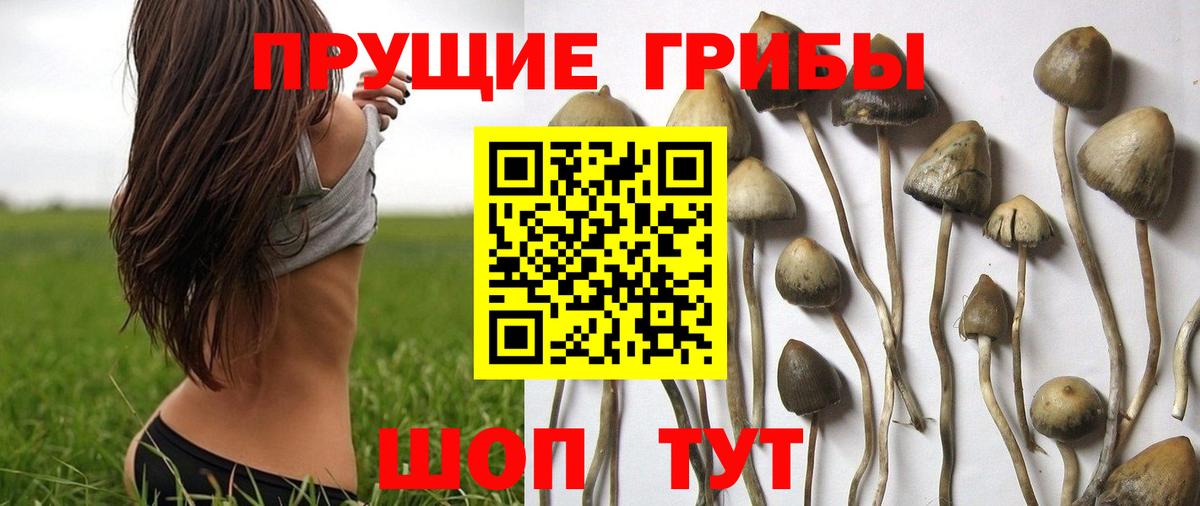 Псилоцибиновые грибы Magic Shrooms  Вход с VPN  Тулун 